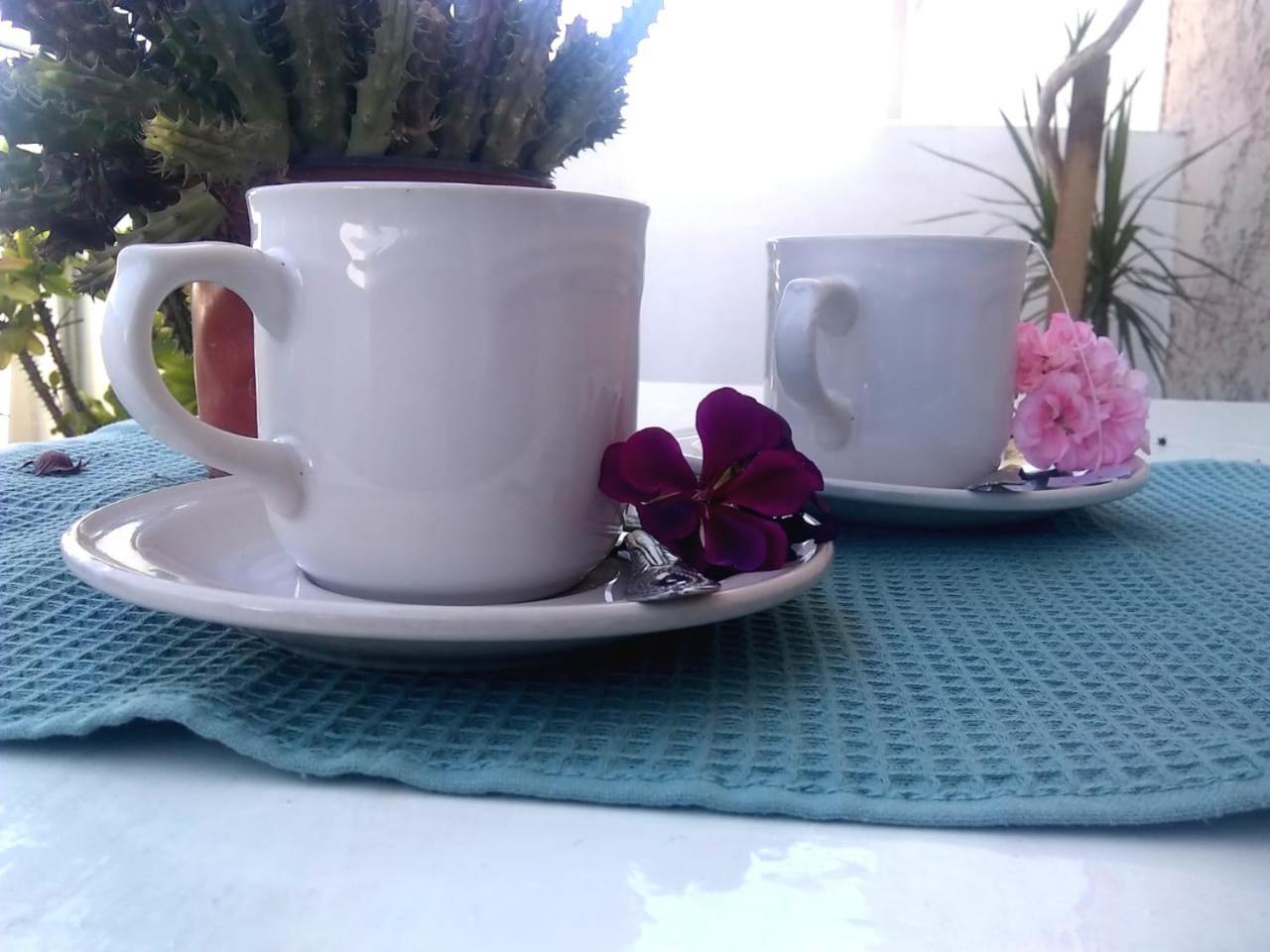 Habitacion Independiente Colibri Aguascalientes